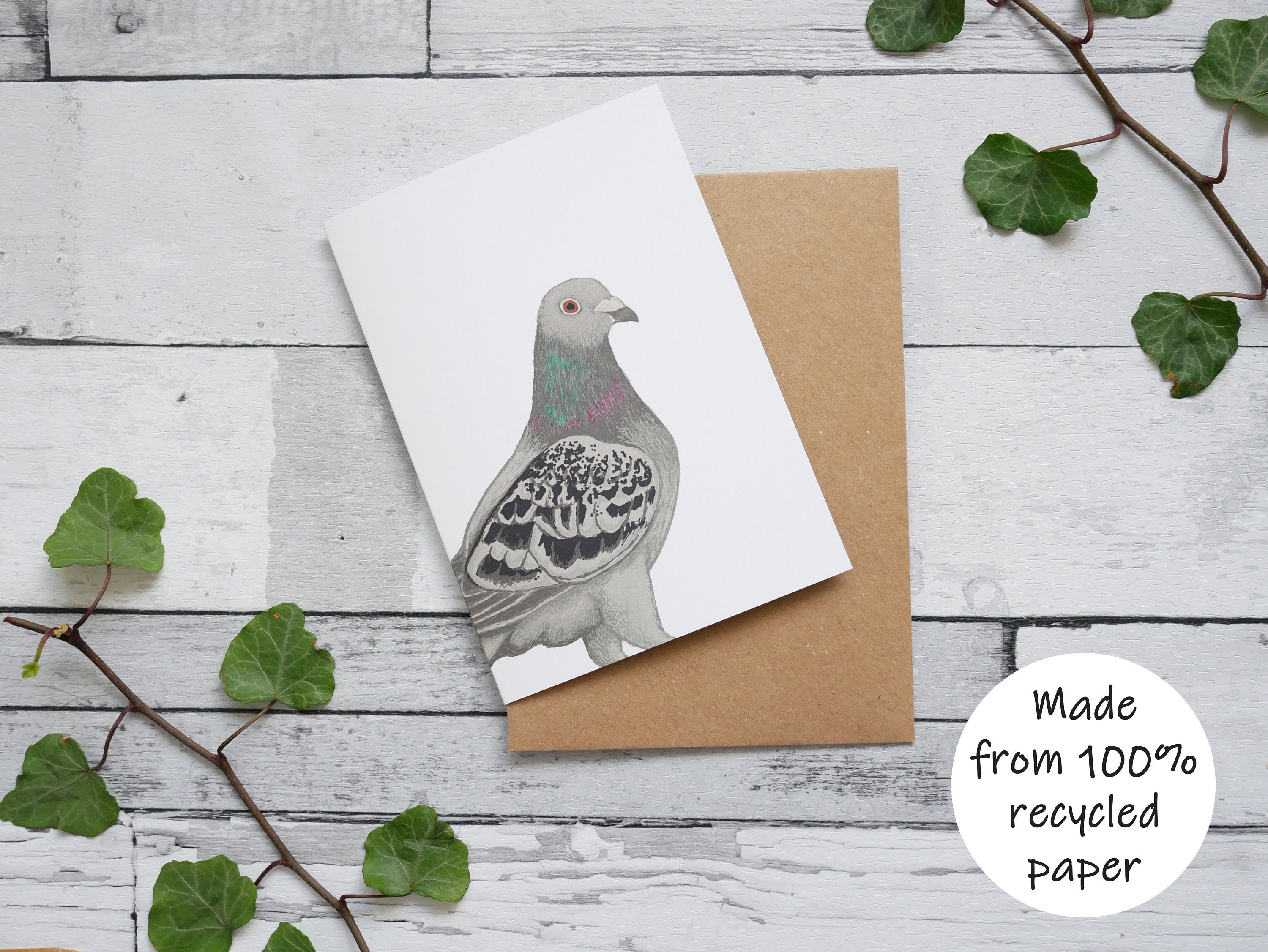 Illustrated Pigeon Card - 100% Recycled Wildlife Inspired Greetings Card with Plastic-Free Packaging - Blank, Birthday, Thank you Card