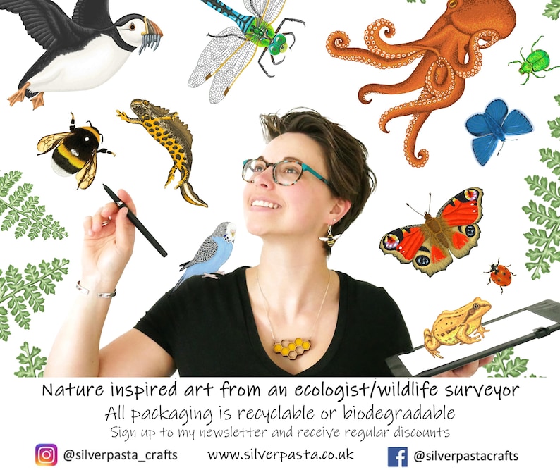 Pu&ograve; includere: Un'illustrazione colorata con vari animali e insetti, tra cui una pulcinella di mare, una libellula, un'ape, un polpo, una farfalla e una rana. Il testo "Nature inspired art from an ecologist/wildlife surveyor" &egrave; incluso.