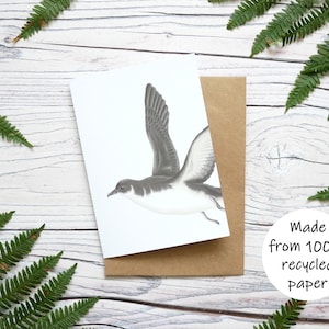 Carte illustrée de puffin des Manx - Carte de voeux animalière 100 % recyclée avec emballage sans plastique - Carte vierge, d'anniversaire, de remerciement