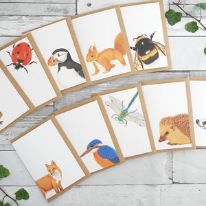 Jeu de cartes illustrées d'animaux britanniques - 100 % recyclées inspirées de la faune sauvage avec emballage sans plastique - vierges, cartes de remerciement