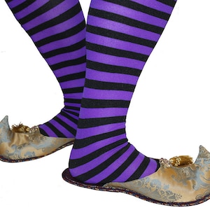 May include: A pair of purple and black striped stockings with gold and silver patterned slippers. The slippers have a pointed toe and a tassel.