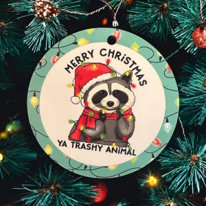 Raccoon Christmas Ornament, Woodland Animal Decoration, Holiday Ornament, Tree Decor, Winter Decor, Cute Gift