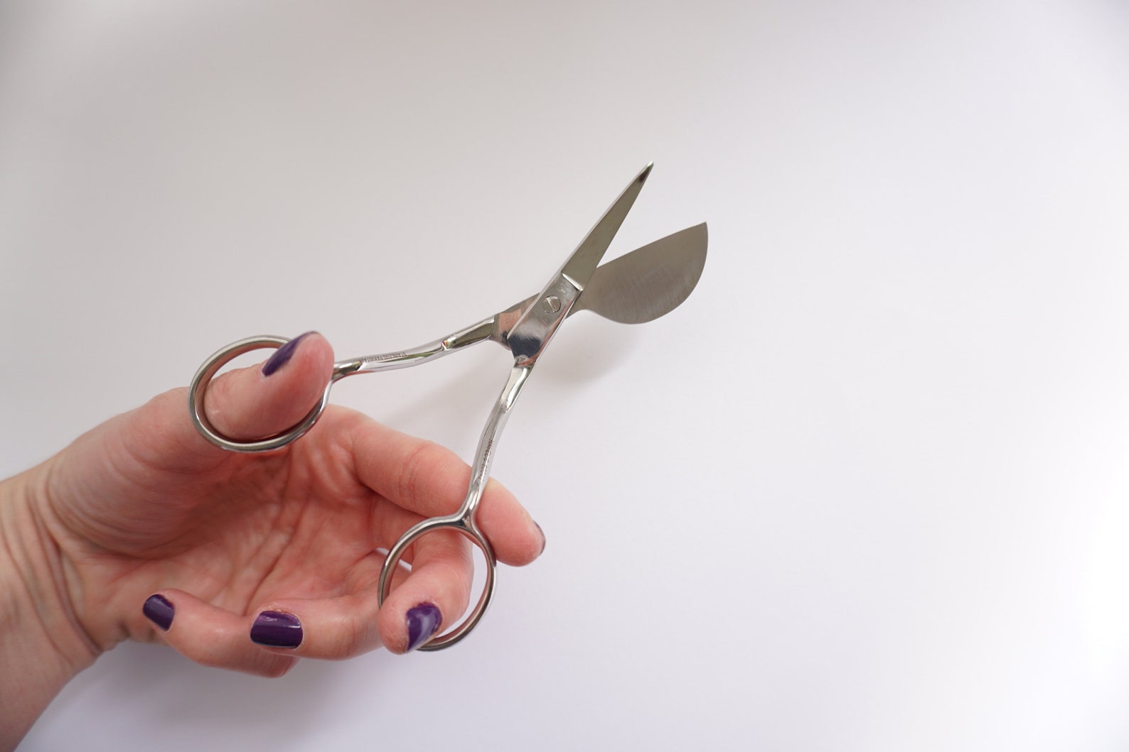 Pelican Appliqué Scissors Craft Scissors Rug Making Etsy