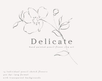 May include: A delicate hand-drawn pencil sketch of a flower with five petals. The flower is part of a larger floral arrangement with leaves and stems. The image is labeled "Delicate" and "Hand painted pencil flower clip art".