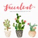 Watercolor succulent clip art collection /Digital clipart watercolor/wedding/ hand painted/Individual PNG files