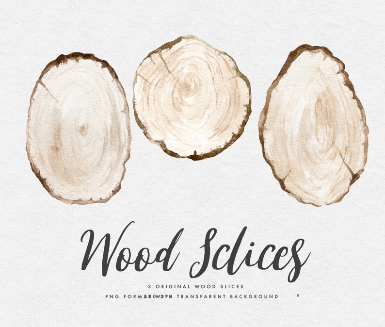 Watercolor Clip Art-wood Slices/small Set/individual PNG Files/hand ...