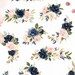 Blush & Navy-watercolor Graphic Set/large Set/individual PNG Files/hand ...