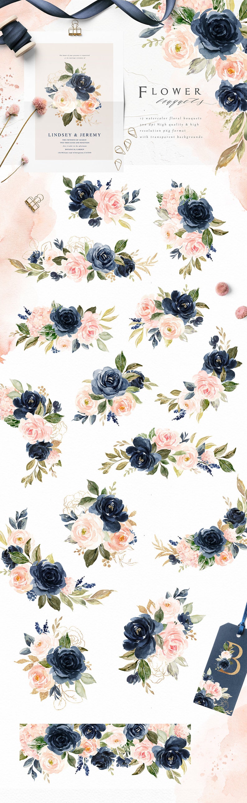 Blush & Navy-watercolor Graphic Set/large Set/individual PNG Files/hand ...