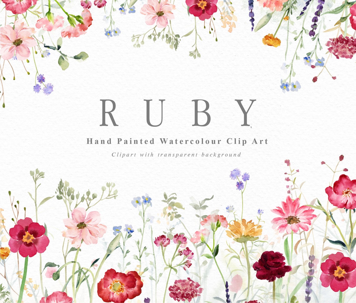 Ruby-watercolor Wildflower Clipart/small Set/individual PNG Files/hand ...