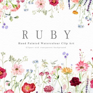 Może przedstawiać: Klipart akwarelowy z kwiatową ramką z różowymi, czerwonymi i żółtymi kwiatami. Tekst "RUBY Hand Painted Watercolour Clip Art Clipart with transparent background" znajduje się w środku obrazu.