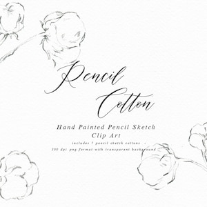 Hand Drawn Fine Art Graphic Pencil Cotton/Small Set/Elements/Individual PNG files/Hand Painted/Wedding design/Rustic image 1