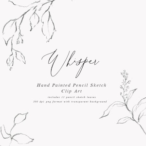 Hand Drawn Fine Art Graphic Whisper/Small Set/Elements/Individual PNG files/Hand Painted/Wedding design/Rustic image 1