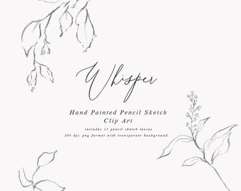 May include: A set of 12 hand-drawn pencil sketch leaves in a black and white design. The leaves are in a delicate, whimsical style and are perfect for adding a touch of nature to your projects. The text "Whisper" is written in a cursive font above the leaves. The text "Hand Painted Pencil Sketch Clip Art" is written below the leaves. The text "includes 12 pencil sketch leaves" is written below the title. The text "300 dpi png format with transparent background" is written below the description.