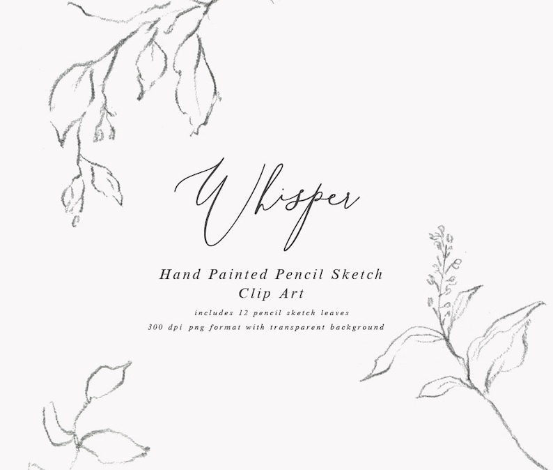 Hand Drawn Fine Art Graphic Whisper/Small Set/Elements/Individual PNG files/Hand Painted/Wedding design/Rustic image 1