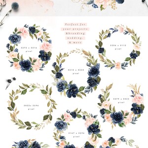 Blush & Navy-watercolor Graphic Set/large Set/individual PNG Files/hand ...
