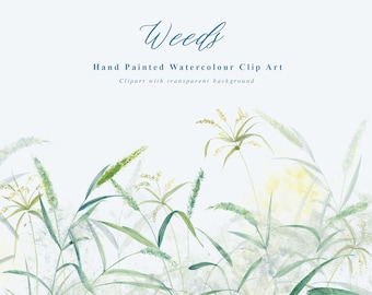 Weeds -Watercolor Clipart /Small Set/Individual PNG files/Hand Painted/Wedding design/Wildflowers clipart /Meadow