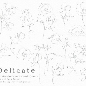Hand Drawn Fine Art Graphic Delicate/Small Set/Elements/Individual PNG files/Hand Painted/Wedding design/Rustic image 2