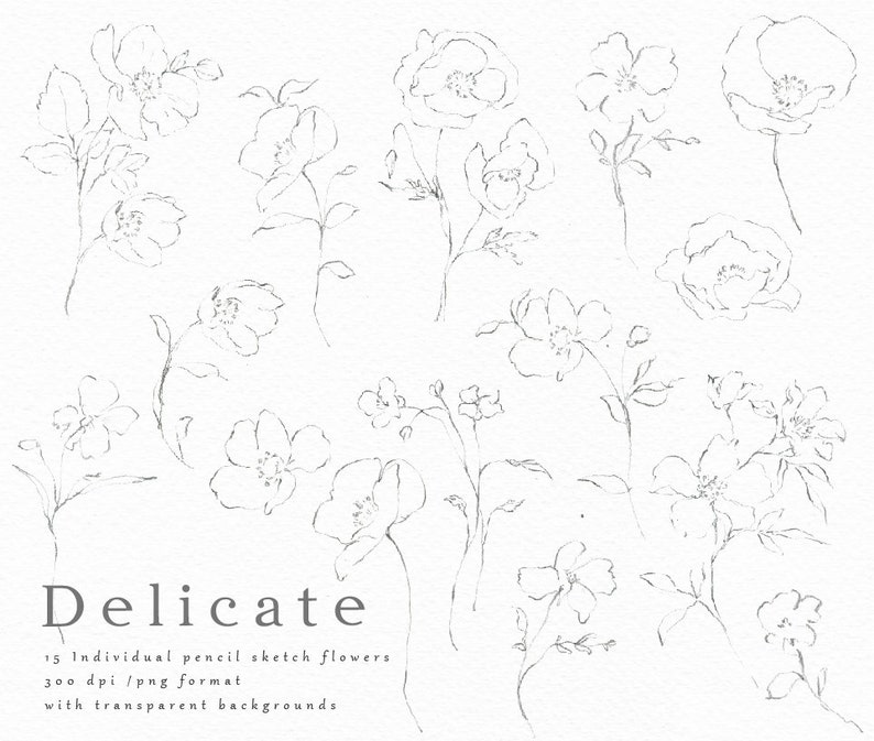 Hand Drawn Fine Art Graphic Delicate/Small Set/Elements/Individual PNG files/Hand Painted/Wedding design/Rustic image 2