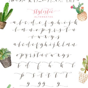 Brigitte Script with Bonus/Elegant typeface /Wedding font/photography logo/Script font