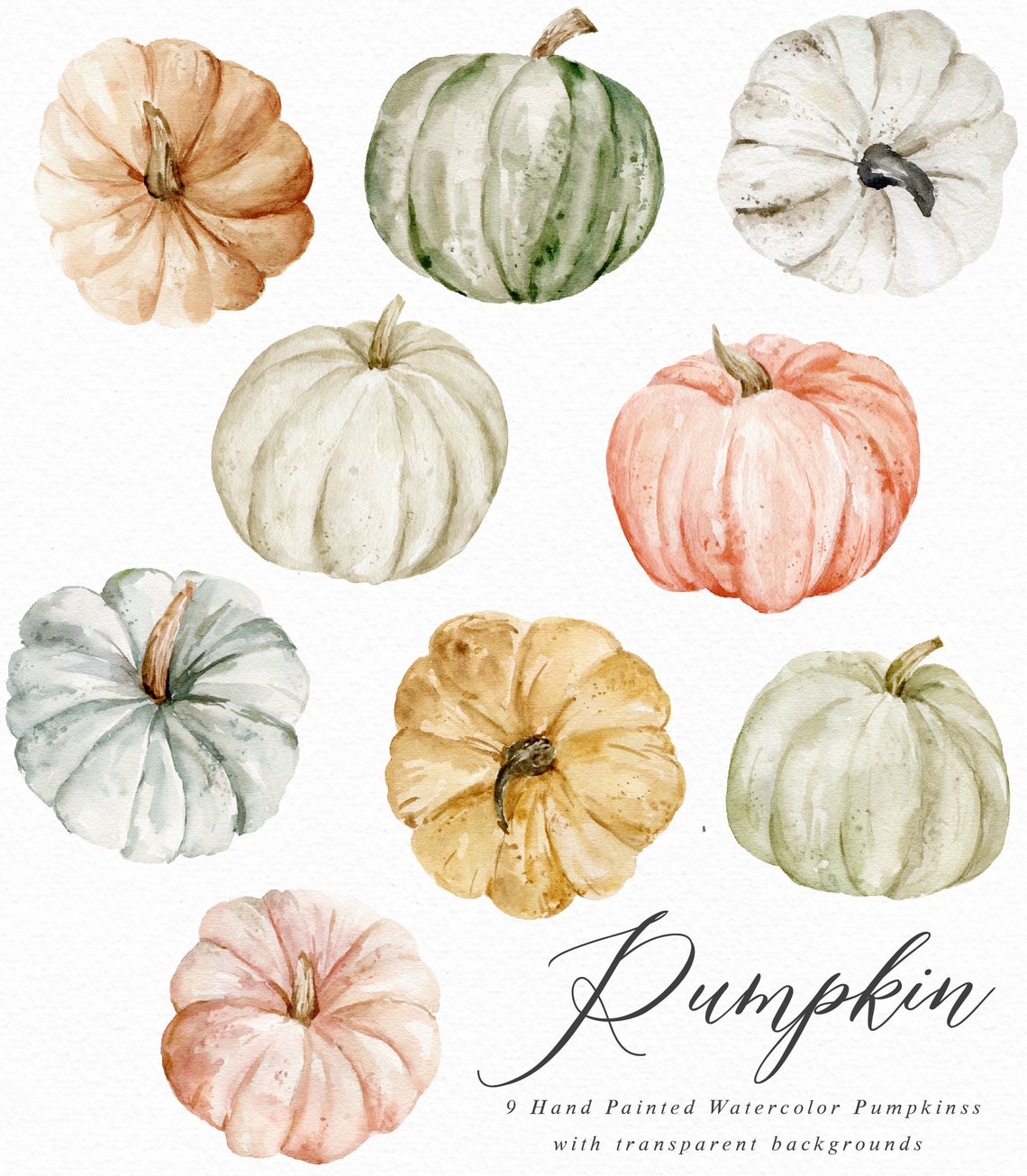 Watercolor Clip Art-pumpkin/small Set/individual PNG Files/hand Painted ...