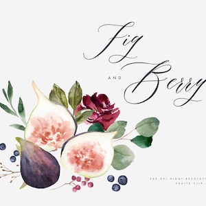 Watercolor  Clip Art-Fig and Berry/Small Set/Wedding/Individual PNG files/Hand Painted/wedding invitation