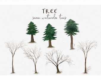 Watercolor clip art-Tree/Small Set/Individual PNG files/Hand Painted