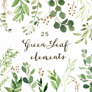 May include: A collection of 25 watercolor illustrations of green leaves and branches. The illustrations are perfect for adding a touch of nature to your designs.