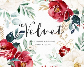 Watercolor floral Clip Art-Velvet/Small Set/Individual PNG files/Hand Painted/Wedding design/Winter/Rustic/Christmas