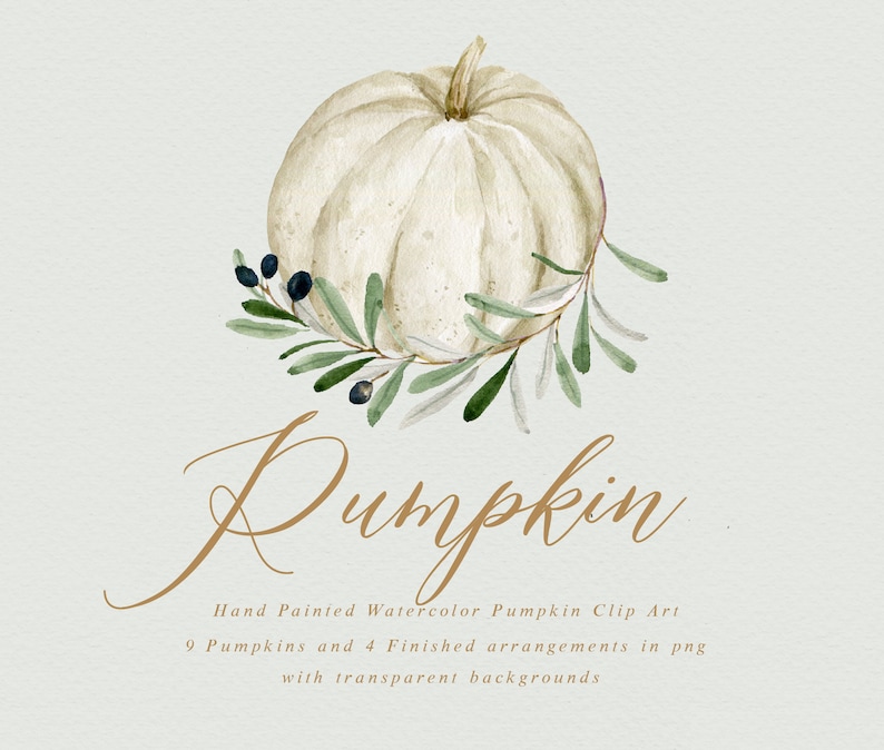 Watercolor Clip Art-pumpkin/small Set/individual PNG Files/hand Painted ...