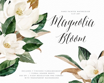 Watercolor floral clip art-Magnolia Bloom/Small Set/Wedding/Clip art collection/Individual PNG files/Hand Painted/wedding invitation/Autumn