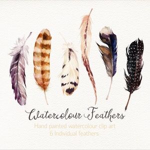 Plumas de acuarela / Conjunto pequeño / Imágenes prediseñadas de acuarela pintadas a mano / Archivos PNG individuales