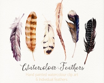 Watercolour Feathers /Small Set/Hand painted watercolour clip art / Individual  PNG files