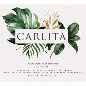 Puede incluir: Clip art de acuarela con un arreglo floral tropical con hojas verdes, detalles dorados y salpicaduras de pintura negra. El texto "CARLITA" está centrado en la imagen.