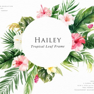 Puede incluir: Una ilustración de acuarela de un marco de hojas tropicales con flores de hibisco rosas, blancas y rojas. El marco es circular y tiene el texto "HAILEY Tropical Leaf Frame" en el centro. La imagen incluye dos marcos florales, 4218 x 3756 píxeles, 14 x 12 pulgadas, en formato PNG con fondo transparente.