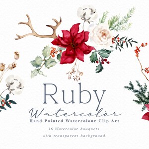Puede incluir: Clip art de acuarela con una disposición festiva de poinsettias rojas, rosas blancas y follaje verde, acentuada con cornamentas y bayas. El texto "Ruby Watercolor" se muestra en una elegante escritura, con ramos de acuarela pintados a mano.