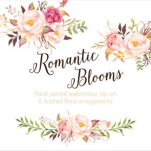 Romantic Blooms Watercolour Clip Art/Small Set/Rose/Individual PNG files/Hand Painted