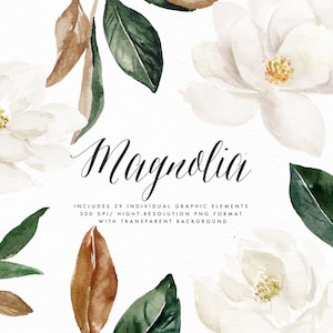 Watercolor Flower Clip Art-Magnolia Elements/Small Set/Individual PNG files/Hand Painted/Wedding design/Rustic