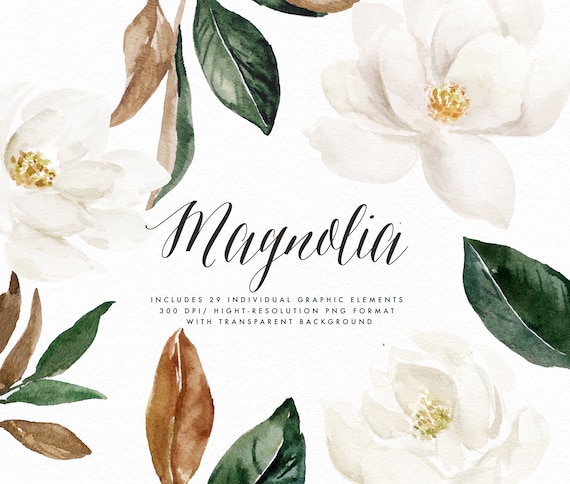 Download Watercolor Flower Clip Art Magnolia Elements Small Etsy