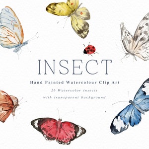 Insekten-Aquarell Schmetterlinge Clipart /Sticker Clipart/Hochzeit Clipart/Schmetterlinge Clipart /Käfer/Biene