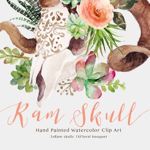 Watercolor ram skull set/Small Set/Digital clipart watercolor/wedding/ hand painted/Individual PNG files
