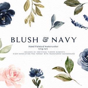 Blush & Navy graphic elements/Small Set/Individual PNG files/Hand Painted/wedding image 1
