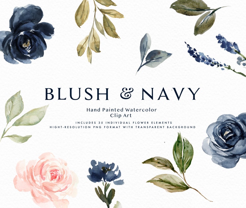 Blush & Navy graphic elements/Small Set/Individual PNG files/Hand Painted/wedding image 1