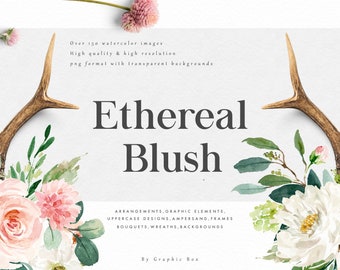 Ethereal Blush-Floral Graphic Set/Large Set/Wedding/Individual PNG files/Hand Painted/wedding invitation/Femine