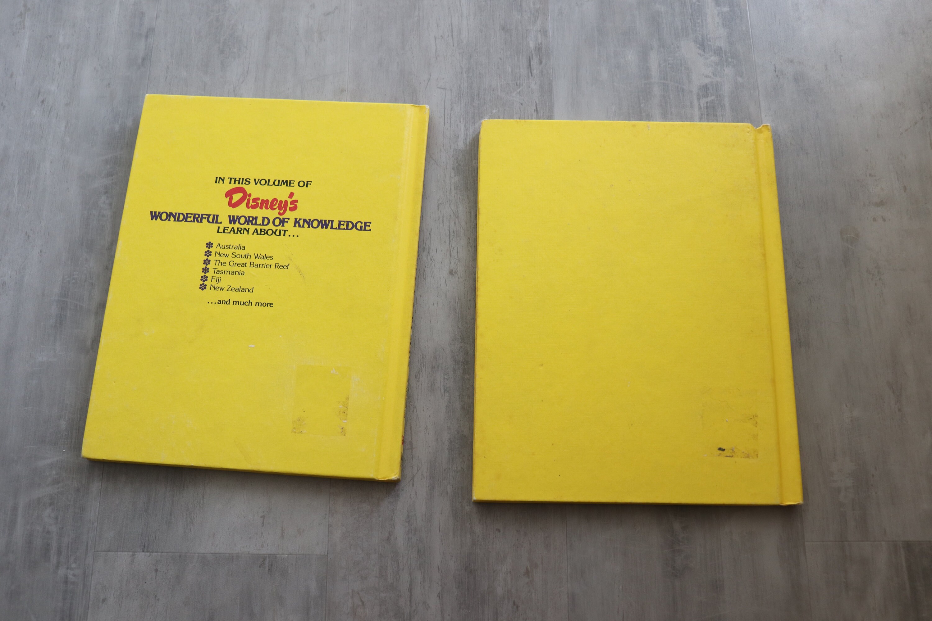 Vintage Disney Book Collection - Wonderful World of Knowledge