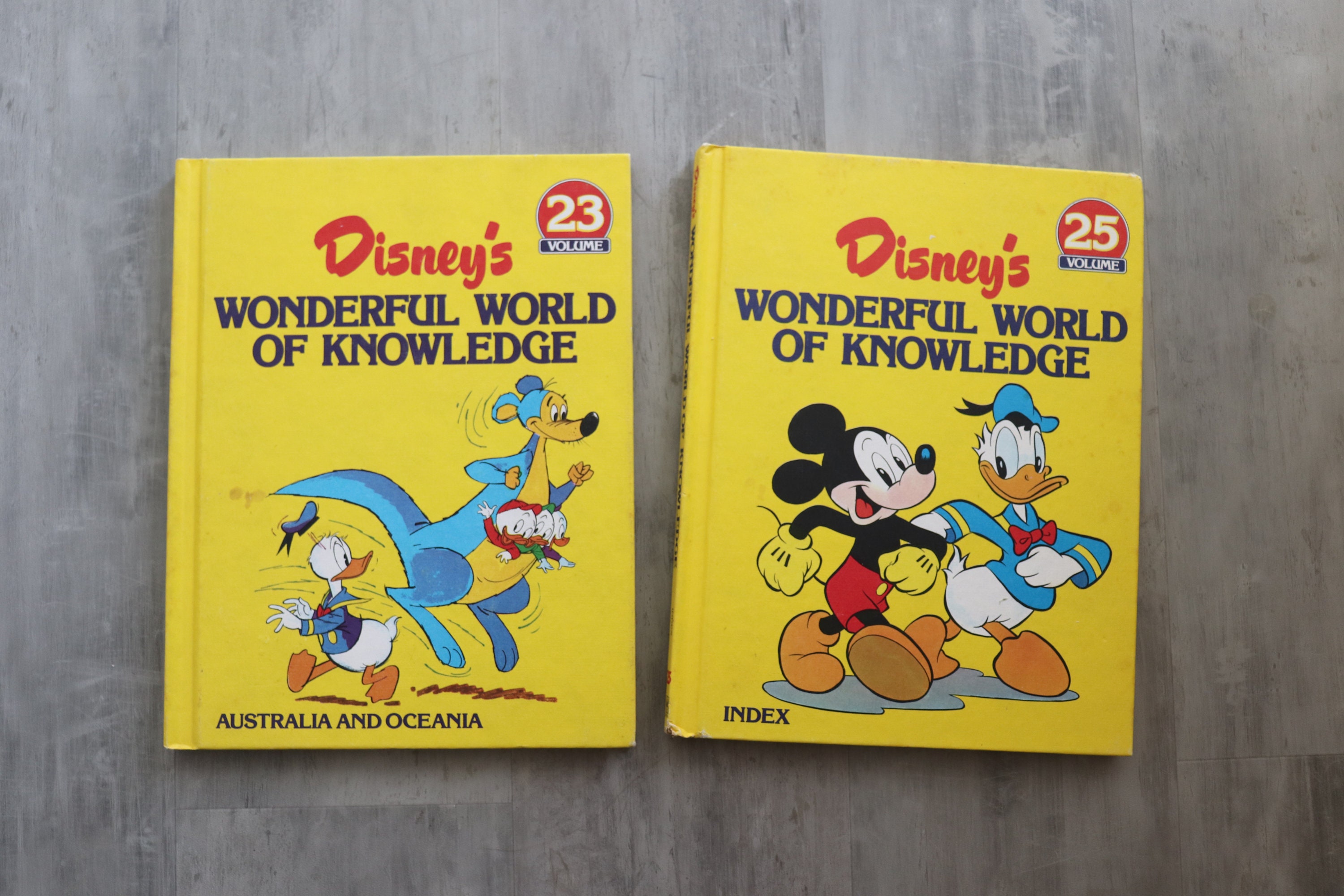 Vintage Disney Book Collection - Wonderful World of