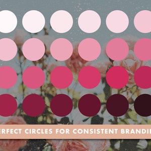 Mooie roze cirkels | Minimalistische Instagram Highlight Cover | Instagram-icoon voor bloggers en influencers | Social Media Pack
