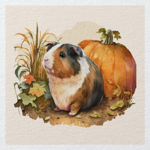 Guinea Pig Pet Pumpkin Animal Watercolour splash Bright - Fabric Panels Cushion Panels Velvet Cotton Polycotton Spandex