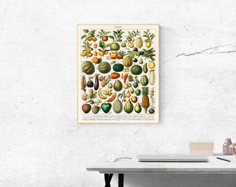 Vintage  illustration fruits and vegetables Nouveau Larousse Illustre- Vintage Reproduction Wall Fine Art Prints, Art Posters