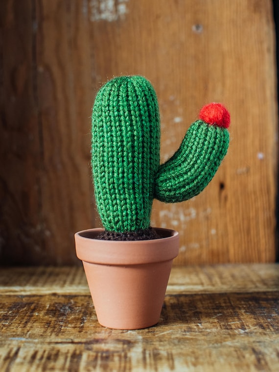 Ongekend Grote gewapende gebreide Cactus Cactus Cactus brei haak | Etsy NE-99