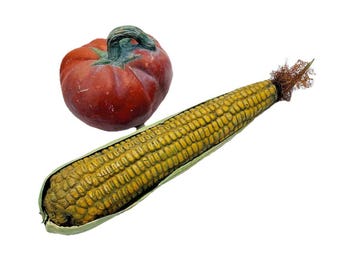 May include: A red-orange pumpkin with a green stem sits next to a partially husked ear of corn. The corn is yellow and brown, with visible kernels and a few strands of brown silk. The background is white.